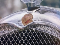 1926 Chrysler G70 for sale in Michigan (ID-125395)