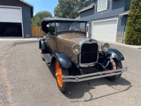 1929 Ford Model A for sale in Michigan (ID-140459)