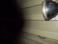 1930 Ford Model A for sale in Michigan (ID-145049)
