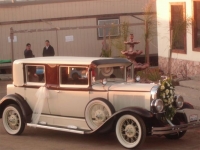 1931 Cadillac LaSalle for sale in Michigan (ID-109517)