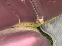 1938 Buick Special for sale in Michigan (ID-162960)