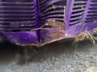 1940 Ford Coupe for sale (ID-144544)