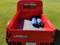 1940 Willys Pickup for sale in Pennsylvania (ID-33573)