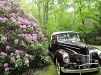 1940 Ford Deluxe for sale in Riverhead, New York (ID-103810)