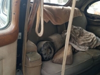 1941 Packard Sedan for sale (ID-99972)