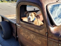 1945 GMC Rat Rod for sale in Michigan (ID-131812)