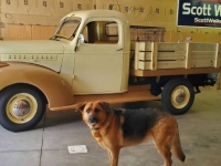 1946 Chevrolet 3100 for sale in Michigan (ID-141551)