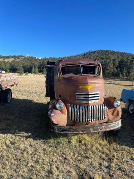 1946 Chevrolet COE for sale in Michigan (ID-134933)