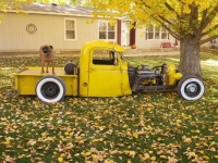 1946 Chevrolet Rat Rod for sale in Michigan (ID-123468)
