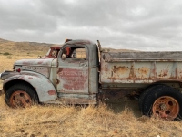 1946 Chevrolet Truck for sale in Michigan (ID-118872)