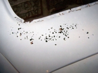 1946 Ford Cabriolet for sale in Michigan (ID-162354)