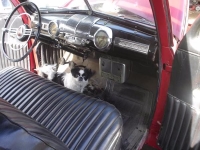 1946 Mercury Coupe for sale (ID-100575)