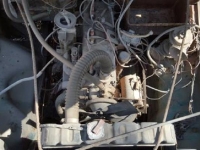 1946 Willys Jeep for sale (ID-99182)
