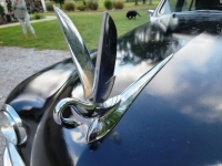 1948 Packard Deluxe for sale in Michigan (ID-121439)