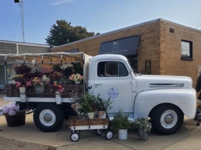 1949 Ford F1 for sale