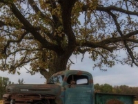 1949 Ford F3 for sale in Michigan (ID-134409)
