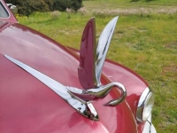 1949 Packard Deluxe for sale in Michigan (ID-162530)