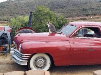 1949 Packard Deluxe for sale in Michigan (ID-162530)