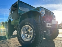 1949 Willys Jeep for sale in Michigan (ID-124018)