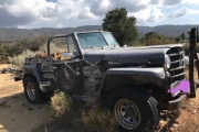 1950 Jeep Willy's for sale