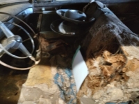 1950 Cadillac Series 61 for sale in Michigan (ID-117780)