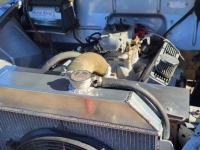1950 Dodge Wayfarer for sale in Michigan (ID-122018)