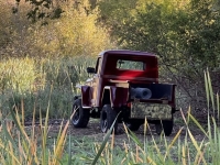 1950 Jeep Willys for sale in Michigan (ID-125347)