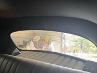 1951 Ford Business Coupe for sale in Michigan (ID-139180)