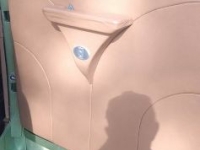 1951 Ford F1 for sale in Michigan (ID-154971)