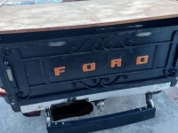 1951 Ford F100 for sale in Michigan (ID-163133)