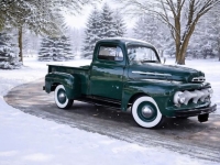 1951 Ford F100 for sale in Michigan (ID-163656)