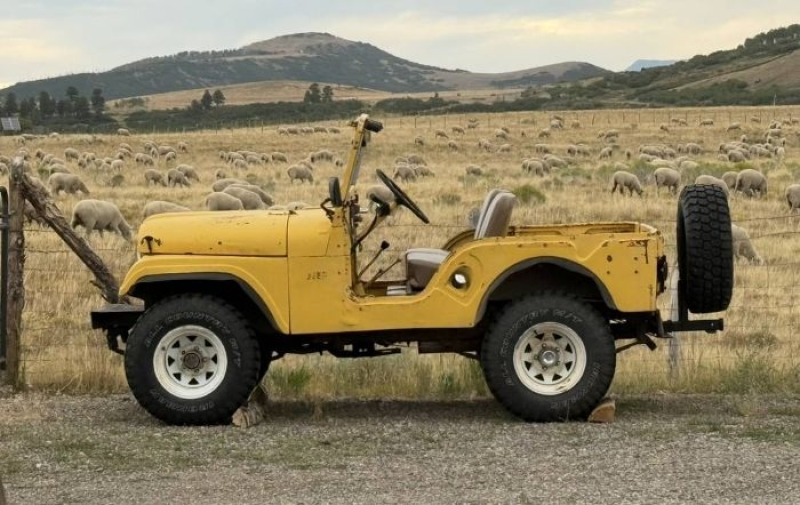 1951 Jeep CJ5 for sale in Michigan (ID-155636)