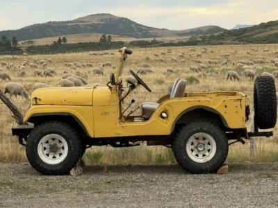 1951 Jeep CJ5 for sale