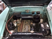 1951 Packard 200 for sale (ID-102731)