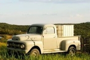 1952 Ford F3 for sale