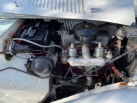 1952 MG TD for sale in Florida (ID-87137)