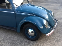 1952 Volkswagen Beetle for sale in Gainesville, Florida (ID-103402)