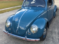 1952 Volkswagen Beetle for sale in Gainesville, Florida (ID-103402)