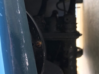 1952 Volkswagen Beetle for sale in Gainesville, Florida (ID-103402)