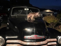 1952 Chevrolet 3100 for sale in Michigan (ID-146671)