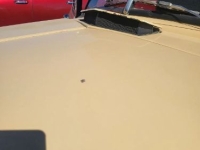 1952 Chevrolet 3100 for sale in Michigan (ID-155155)