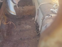 1952 Chevrolet Fleetline for sale in Michigan (ID-155621)