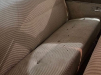 1952 Studebaker Champion for sale (ID-162644)