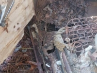 1953 Chevrolet Bel Air for sale in Michigan (ID-162907)