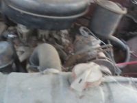1953 Chrysler New Yorker for sale (ID-99304)