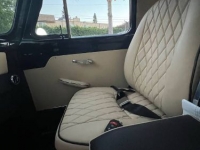 1953 Ford F100 for sale in Michigan (ID-106771)