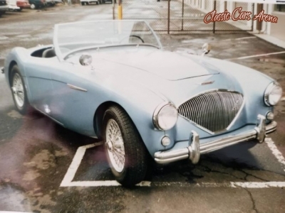 1954 Austin-Healey 100-4 for sale