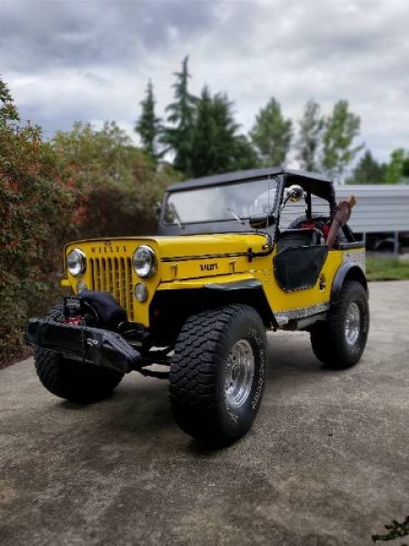 1954 Willys Jeep for sale in Michigan (ID-87685)