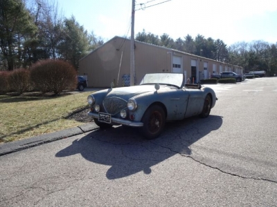 1954 Austin-Healey 100-4 for sale
