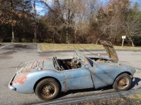 1954 Austin-Healey 100-4 for sale in Michigan (ID-113933)